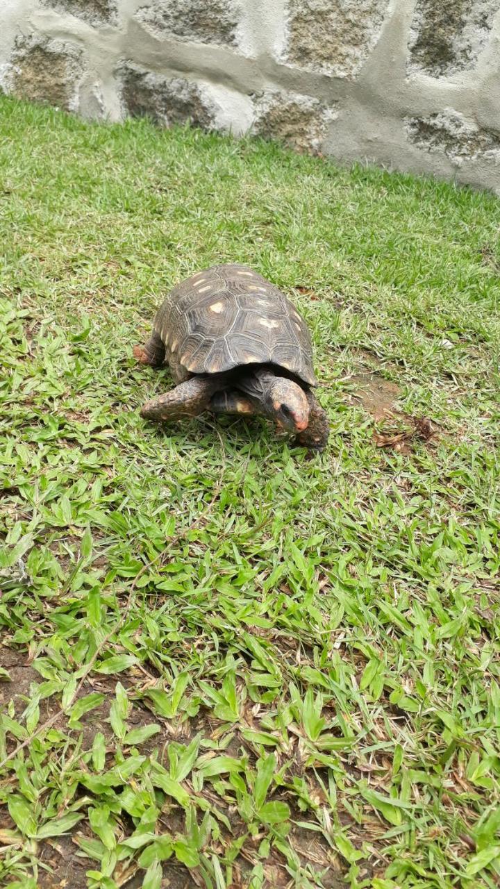 Chale Canto Do Galo Ilhabela Bagian luar foto